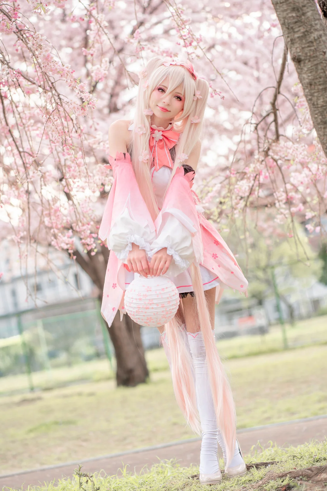 Peachmilky写真套图合集 68套 22GB 高清下载